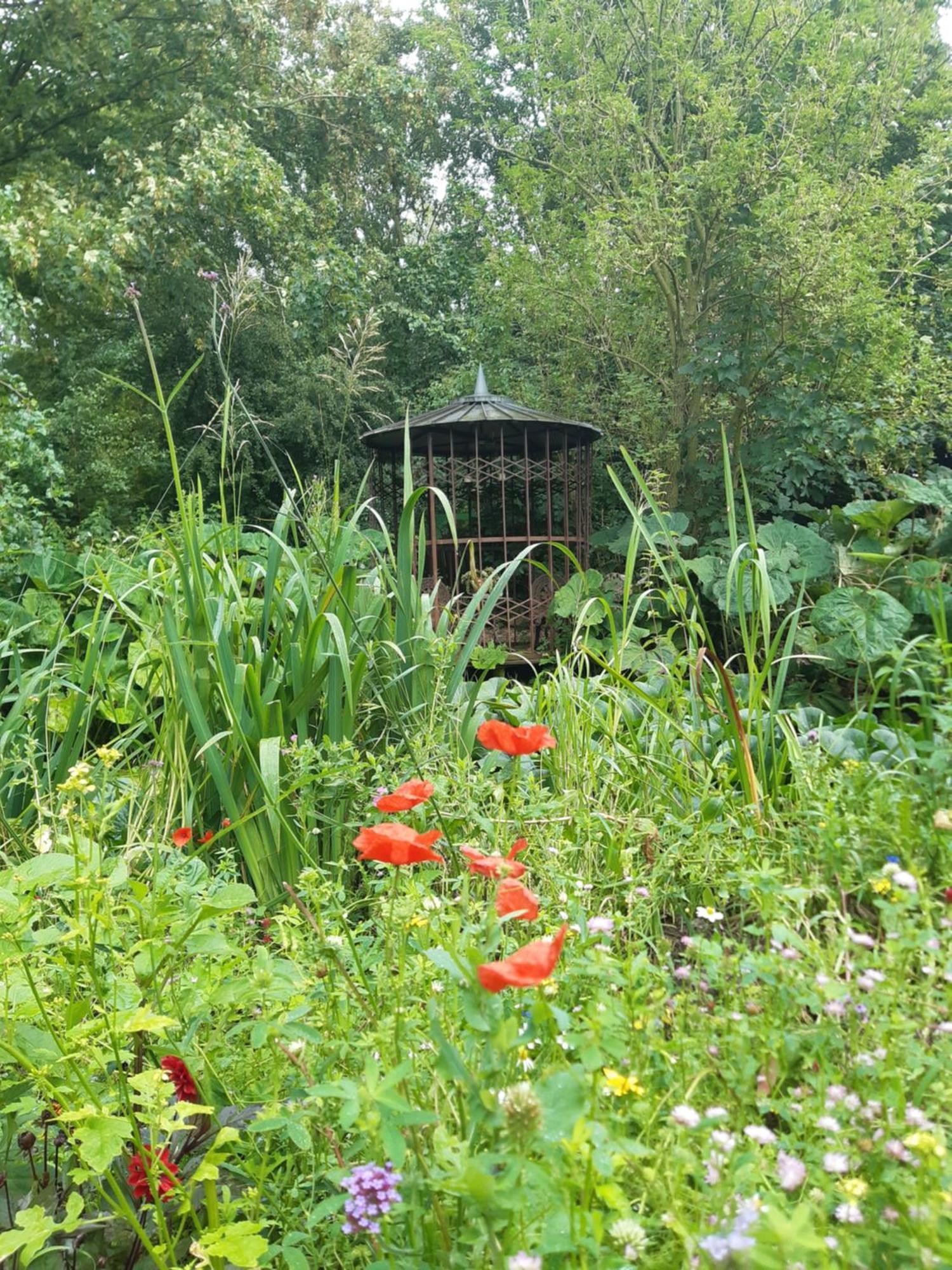 Bed and Breakfast Rest En Romte Birdaard Esterno foto